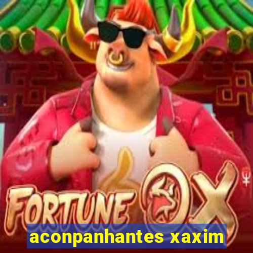 aconpanhantes xaxim